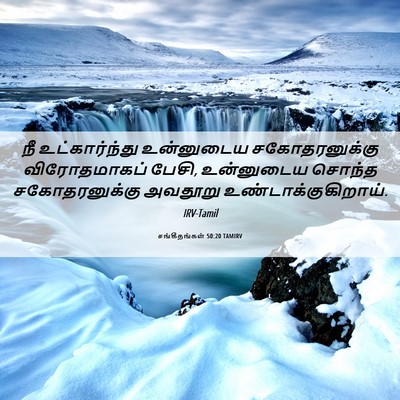 Picture 06 - சங்கீதங்கள் 50:20 TAMIRV - நீ உட்கார்ந்து - Bible Verse Picture