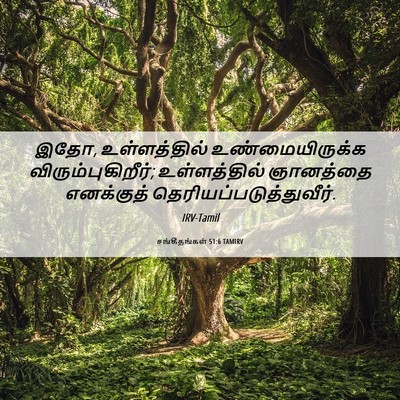 Picture 06 - சங்கீதங்கள் 51:6 TAMIRV - இதோ, உள்ளத்தில் - Bible Verse Picture