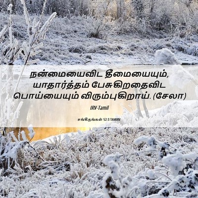 Picture 06 - சங்கீதங்கள் 52:3 TAMIRV - நன்மையைவிட - Bible Verse Picture