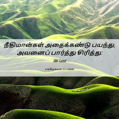 Picture 06 - சங்கீதங்கள் 52:6 TAMIRV - நீதிமான்கள் - Bible Verse Picture