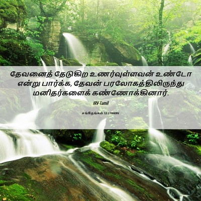 Picture 06 - சங்கீதங்கள் 53:2 TAMIRV - தேவனைத் தேடுகிற - Bible Verse Picture
