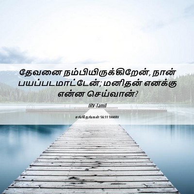 Picture 06 - சங்கீதங்கள் 56:11 TAMIRV - தேவனை - Bible Verse Picture