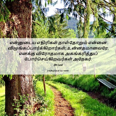 Picture 06 - சங்கீதங்கள் 56:2 TAMIRV - என்னுடைய எதிரிகள் - Bible Verse Picture