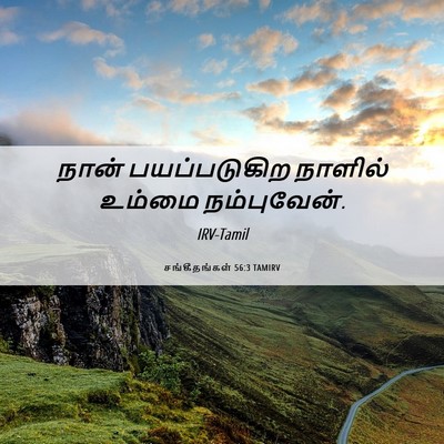 Picture 06 - சங்கீதங்கள் 56:3 TAMIRV - நான் பயப்படுகிற - Bible Verse Picture