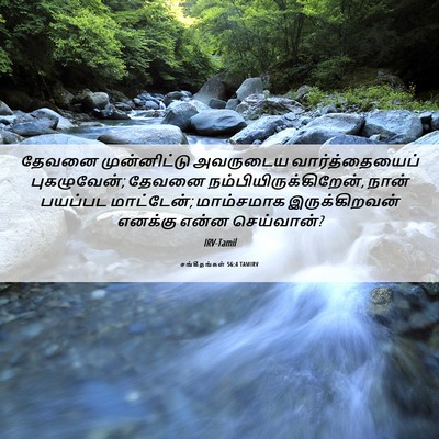 Picture 06 - சங்கீதங்கள் 56:4 TAMIRV - தேவனை முன்னிட்டு - Bible Verse Picture
