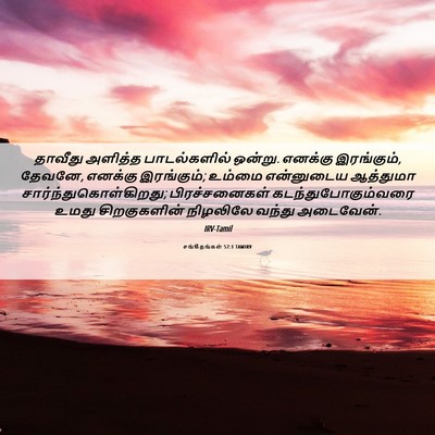 Picture 06 - சங்கீதங்கள் 57:1 TAMIRV - தாவீது அளித்த - Bible Verse Picture