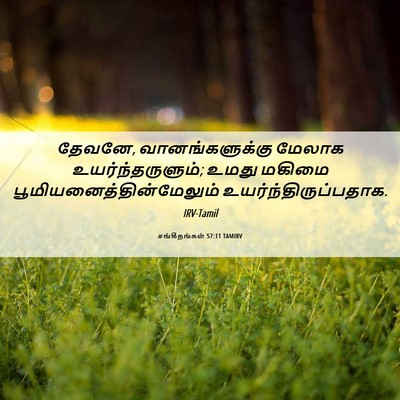 Picture 06 - சங்கீதங்கள் 57:11 TAMIRV - தேவனே, - Bible Verse Picture