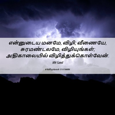 Picture 06 - சங்கீதங்கள் 57:8 TAMIRV - என்னுடைய மனமே, - Bible Verse Picture