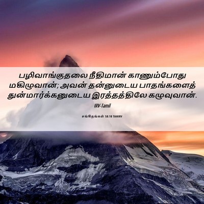 Picture 06 - சங்கீதங்கள் 58:10 TAMIRV - பழிவாங்குதலை - Bible Verse Picture