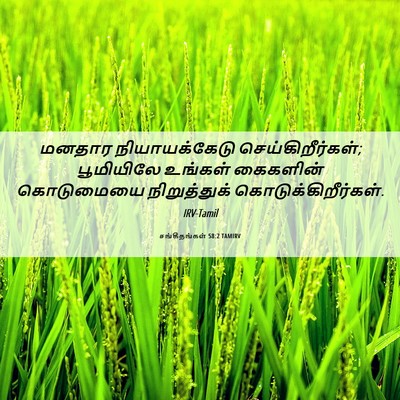 Picture 06 - சங்கீதங்கள் 58:2 TAMIRV - மனதார நியாயக்கேடு - Bible Verse Picture