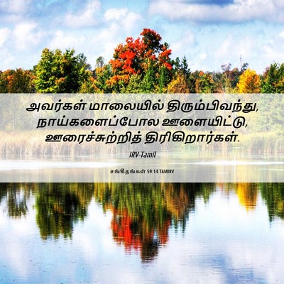 Picture 06 - சங்கீதங்கள் 59:14 TAMIRV - அவர்கள் மாலையில் - Bible Verse Picture