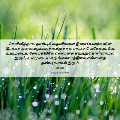Picture 06 - சங்கீதங்கள் 6:1 TAMIRV - செமினீத்தால் - Bible Verse Picture