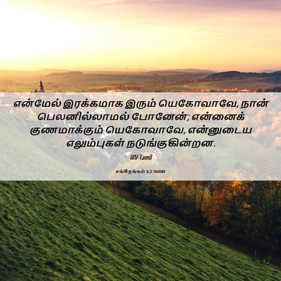 Picture 06 - சங்கீதங்கள் 6:2 TAMIRV - என்மேல் இரக்கமாக - Bible Verse Picture