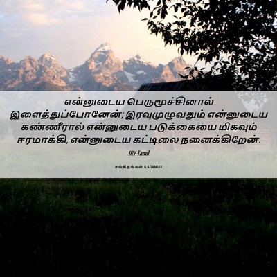 Picture 06 - சங்கீதங்கள் 6:6 TAMIRV - என்னுடைய - Bible Verse Picture