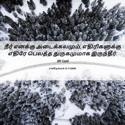 Picture 06 - சங்கீதங்கள் 61:3 TAMIRV - நீர் எனக்கு - Bible Verse Picture