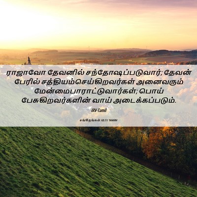 Picture 06 - சங்கீதங்கள் 63:11 TAMIRV - ராஜாவோ தேவனில் - Bible Verse Picture
