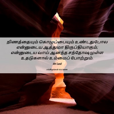Picture 06 - சங்கீதங்கள் 63:5 TAMIRV - நிணத்தையும் - Bible Verse Picture