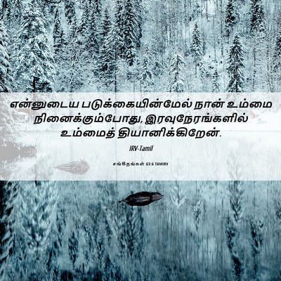 Picture 06 - சங்கீதங்கள் 63:6 TAMIRV - என்னுடைய - Bible Verse Picture