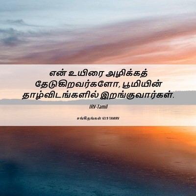 Picture 06 - சங்கீதங்கள் 63:9 TAMIRV - என் உயிரை - Bible Verse Picture