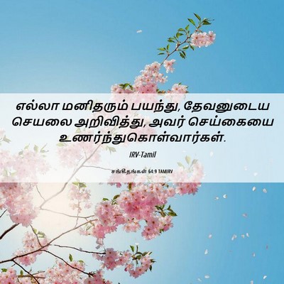 Picture 06 - சங்கீதங்கள் 64:9 TAMIRV - எல்லா மனிதரும் - Bible Verse Picture