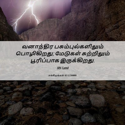 Picture 06 - சங்கீதங்கள் 65:12 TAMIRV - வனாந்திர - Bible Verse Picture