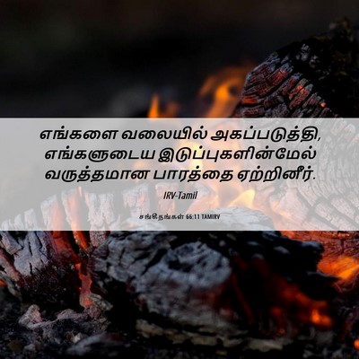 Picture 06 - சங்கீதங்கள் 66:11 TAMIRV - எங்களை வலையில் - Bible Verse Picture