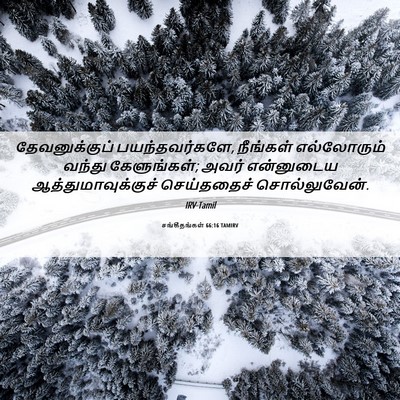 Picture 06 - சங்கீதங்கள் 66:16 TAMIRV - தேவனுக்குப் - Bible Verse Picture