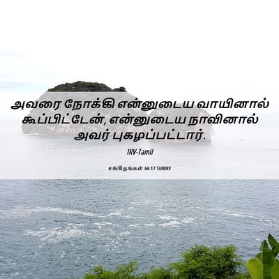 Picture 06 - சங்கீதங்கள் 66:17 TAMIRV - அவரை நோக்கி - Bible Verse Picture