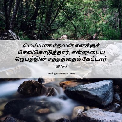 Picture 06 - சங்கீதங்கள் 66:19 TAMIRV - மெய்யாக தேவன் - Bible Verse Picture