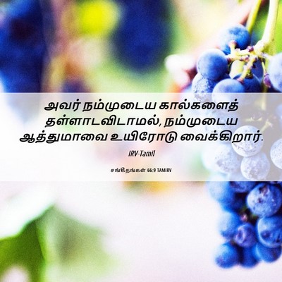 Picture 06 - சங்கீதங்கள் 66:9 TAMIRV - அவர் நம்முடைய - Bible Verse Picture