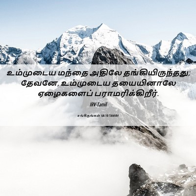 Picture 06 - சங்கீதங்கள் 68:10 TAMIRV - உம்முடைய மந்தை - Bible Verse Picture