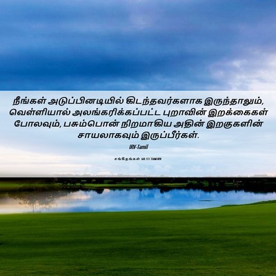 Picture 06 - சங்கீதங்கள் 68:13 TAMIRV - நீங்கள் - Bible Verse Picture