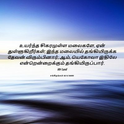 Picture 06 - சங்கீதங்கள் 68:16 TAMIRV - உயர்ந்த சிகரமுள்ள - Bible Verse Picture