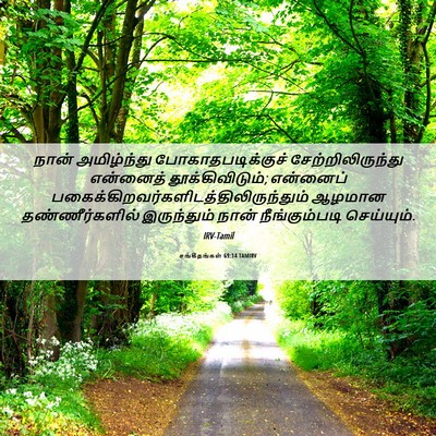 Picture 06 - சங்கீதங்கள் 69:14 TAMIRV - நான் அமிழ்ந்து - Bible Verse Picture