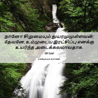Picture 06 - சங்கீதங்கள் 69:29 TAMIRV - நானோ சிறுமையும் - Bible Verse Picture