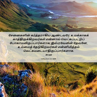 Picture 06 - சங்கீதங்கள் 69:6 TAMIRV - சேனைகளின் - Bible Verse Picture