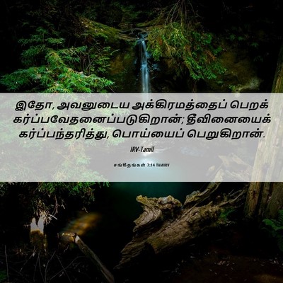 Picture 06 - சங்கீதங்கள் 7:14 TAMIRV - இதோ, அவனுடைய - Bible Verse Picture
