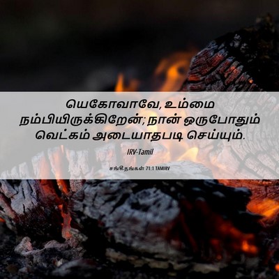 Picture 06 - சங்கீதங்கள் 71:1 TAMIRV - யெகோவாவே, உம்மை - Bible Verse Picture