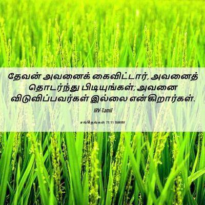 Picture 06 - சங்கீதங்கள் 71:11 TAMIRV - தேவன் அவனைக் - Bible Verse Picture