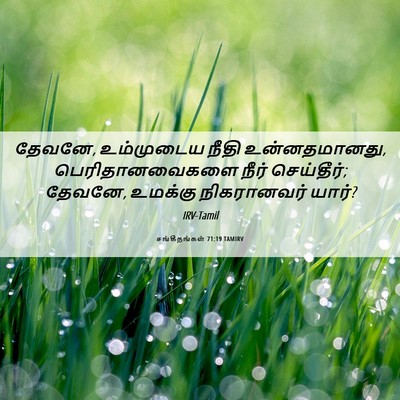 Picture 06 - சங்கீதங்கள் 71:19 TAMIRV - தேவனே, உம்முடைய - Bible Verse Picture