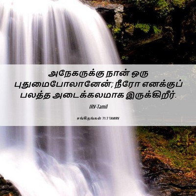 Picture 06 - சங்கீதங்கள் 71:7 TAMIRV - அநேகருக்கு நான் - Bible Verse Picture