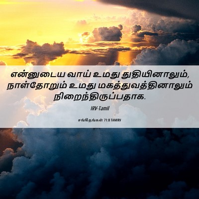 Picture 06 - சங்கீதங்கள் 71:8 TAMIRV - என்னுடைய வாய் - Bible Verse Picture