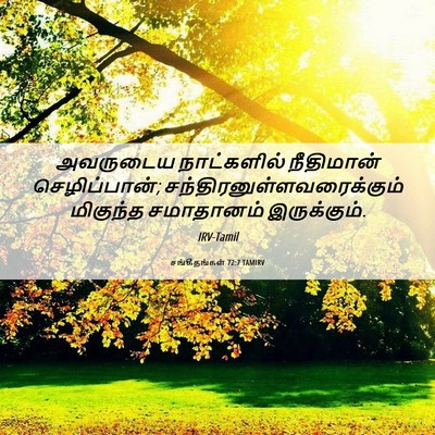 Picture 06 - சங்கீதங்கள் 72:7 TAMIRV - அவருடைய நாட்களில் - Bible Verse Picture