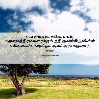 Picture 06 - சங்கீதங்கள் 72:8 TAMIRV - ஒரு - Bible Verse Picture