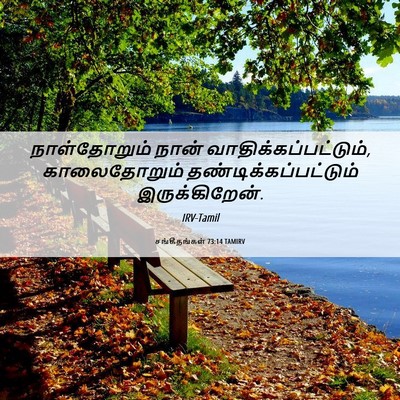 Picture 06 - சங்கீதங்கள் 73:14 TAMIRV - நாள்தோறும் நான் - Bible Verse Picture
