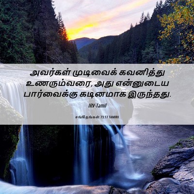 Picture 06 - சங்கீதங்கள் 73:17 TAMIRV - அவர்கள் முடிவைக் - Bible Verse Picture