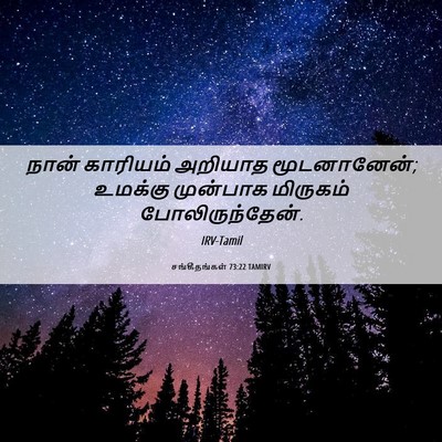Picture 06 - சங்கீதங்கள் 73:22 TAMIRV - நான் காரியம் - Bible Verse Picture