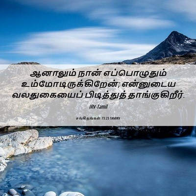Picture 06 - சங்கீதங்கள் 73:23 TAMIRV - ஆனாலும் நான் - Bible Verse Picture