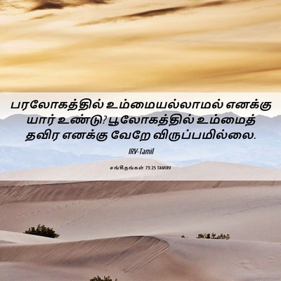 Picture 06 - சங்கீதங்கள் 73:25 TAMIRV - பரலோகத்தில் - Bible Verse Picture