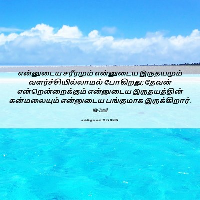 Picture 06 - சங்கீதங்கள் 73:26 TAMIRV - என்னுடைய சரீரமும் - Bible Verse Picture